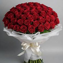Букет 101 Красная роза Блэк Мэджик в Моздоке