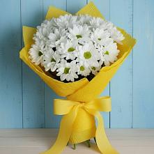 Букет цветов из:  Хризантемы в Моздоке
