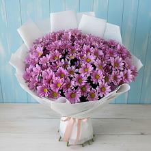 Букет цветов из:  Хризантемы в Моздоке