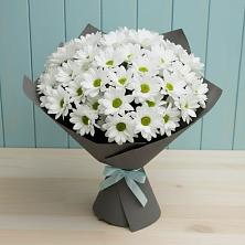 Букет цветов из:  Хризантемы в Моздоке