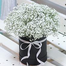 Цветочная композиция из Гипсофила в шляпной коробке #REPLACE_PRED# Моздоке