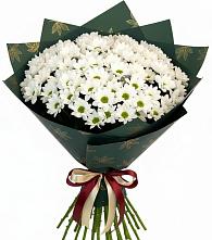 Букет цветов из:  Хризантемы #REPLACE_PRED# Моздоке