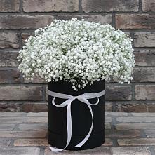 Цветочная композиция из Гипсофила в шляпной коробке в Моздоке