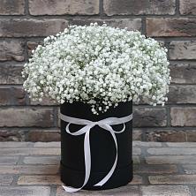 Цветочная композиция из Гипсофила в шляпной коробке в Моздоке