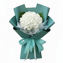 Букет цветов из:  Гортензия #REPLACE_PRED# Моздоке